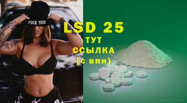 дурь Бородино