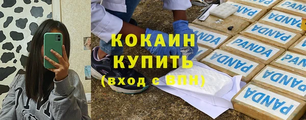 дурь Бородино