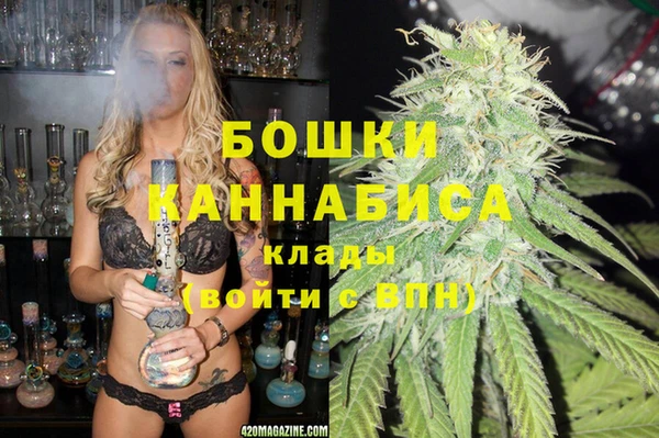 ешки Бронницы