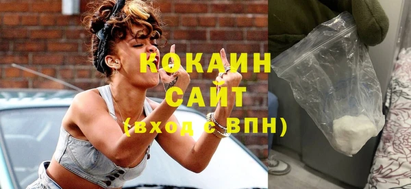 дурь Бородино