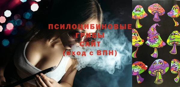 дурь Бородино