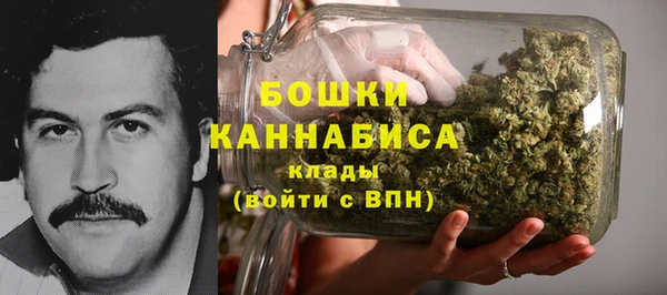 ешки Бронницы