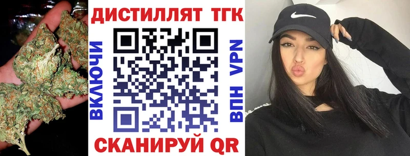 Купить где  Минеральные Воды  ТГК концентрат 